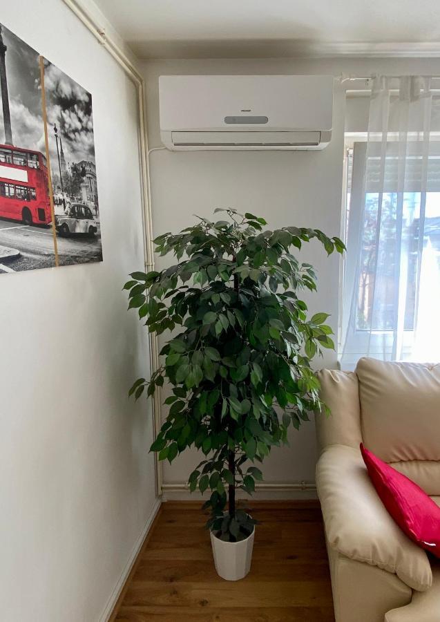 扎格莱施翁公寓 萨格勒布 外观 照片